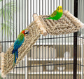 FlidRunest Bird Perch Platform with Climbing Ladder, Parrot Chewable Natural Seagrass Woven Hammock, Parakeet Cage Acces