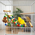 Bird Ladder for Cage, Natural Wooden Parrot Climbing Ladder