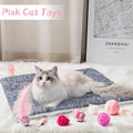 MALLMALL6 10Pcs Cat Toy Set Interactive Cat Toys Pack Including Feather Teaser Wand Cat Springs Mice Crinkle Balls and Pet Bell Balls, Puzzle Toys for Indoor Cats Gift (Pink)