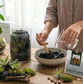 Terrarium Modeling Soil Mix, Sculpting Terrarium Substrate, Sticky Clay Soil for Moss Walls, Vertical Natural-Looking Ba