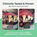 Barkle No-Brush Dog Teeth Cleaning Gel, Vet-Reviewed Mint Dental Care Kit