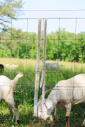 Asatre Hemp Goat Leash, 6 Ft Fleece-Lined Leash for Goats & Sheep