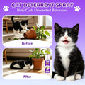 Cat Deterrent Spray for Furniture, 150ML Cat Scratch Deterrent Spray