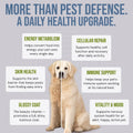 BioPower Pet Shield Chews - Natural Flea & Tick Prevention for Dogs & Cats - Chemical-Free Chewable Supplement, Brewer’s Yeast & Garlic Formula - 240 Soft Chews
