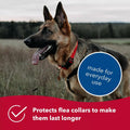 Coastal Pet SecureAway Collar Protector for Flea Collars - Adjustable pet Accessory - Protective Flea Collar for Dogs & 