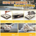 Cat Scratch Puzzle Enrichment Box, Interactive Cat Nail File Box with Sandpaper Liner for Cat Claw Care, Cat Scratch Puzzle Box - Stress Free Alternative to Clippers & Grinders for Indoor Cats