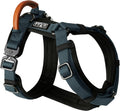 MADE TO ROAM Premium Explorer Harness - Y-Shaped Dog Harness with Adjustable Durable Nylon, Soft Padding, Metal Buckles 