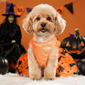 Dog Halloween Costume Dog Dress Witch Tulle Skirt Halloween Pet Clothes for Puppy Small Cats