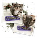 Meowijuana Meowi-Waui Catnip Blend | High-Potency