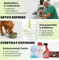 Pawpulse Formula Liver Support for Dogs – Milk Thistle & Silymarin Powder – Daily Detox, Kidney Wellness & Antioxidant Defense, 2.12 oz