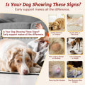 Dog Cancer Supplements - Pet Critical Guard - Natural Dog Lumps & Bumps Treatment- Cellular, Immune Health Support - Organic 8 Mushroom Supplement Blend, Antioxidants with Turkey Tail Mushroom