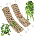 Tfwadmx 2 Pack Large Bearded Dragon Hammock,30"x7"Lizard Climbing Lounger,Natural Seagrass Reptile Hammocks Tank Accesso