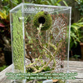 Magnetic Jumping Spider Accessories-Moss Hideout with Rope & Bridge