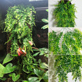 PINVNBY 10 PCS Reptile Plants Vine, Terrarium Hanging Flexible Climbing Artificial Leaves Reptile Hide, Bearded Dragon T