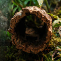 DECHOUS Natural Cork Bark for Reptile Hideout Round Cork Bark Tube Terrarium Accessories 7.8x3in Wood Tree Trunk Climbin