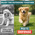 Flea and Tick Prevention for Dogs Chewables - Natural Dog Flea and Tick Treatment Chewable - Oral Flea Supplement for Dogs - Puppy Flea Support - All Breeds & Ages - 60 Soft Chews