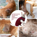 Stress-Free Cat Recovery Suit with Sleeves,Kitten Surgical Onesie