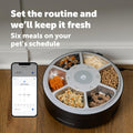 PetSafe FreshFeed Refrigerated Pet Feeder Automatic Wet Food Feeder for Cats & Small Dogs App Control 6 Fresh Meals Stainless Steel Inserts Black
