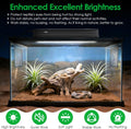 UVB Light for Reptiles Bearded Dragon, T5 UVB Reptile Light Fixture HO UVB Bulb Lighting Combo Kit 10.0 8W UVA UVB Repti