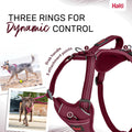 Halti Anatomy Dog Harness with Handle | Size L, Magenta