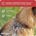 Downtown Pet Supply Chrome Plated Prong Collar for Dogs, Large - Adjustable, No-Choke and No Pull Dog Collar with Remova