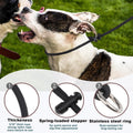 Martingale Dog Collar, 5/16” High-Strength Nylon Rope Slip Collar with Spring-Loaded Adjustable Stopper for Small, Mediu