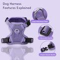 Small Dog Harness and Leash Set, Adjustable Small Sized Pet Vest