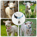 2 Pack Goat Collars with Bells，Fruit Adjustable Nylon Collar Set