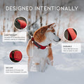 MADE TO ROAM Premium Everyday Dog Collar - Martingale Style No Pull Vegan Leather Collar, Heavy Duty and Lightweight for