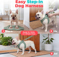 Voyager Step-in Air Dog Vest Harness - Moss Green, Small