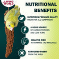 Living World - Millet Spray for Birds, 3.5 Oz – Premium Treat for Budgies, Canaries, Finches, Cockatiels and Other Pet Birds