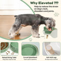 Elevated Slow Feeder Dog Bowls with Splash Proof Stand, Slow Eating 5X
