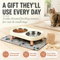 Elevated Dog Bowls with Mat, 2 Stainless Steel for Small Dogs Under 25 Lb