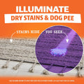 Angry Orange UV Flashlight - Portable LED Black Light for Pet Urine Detection, Dog/Cat Urine Detector for Dry Stains and Bed Bug, Matching with Pet Odor Eliminator