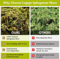 Legigo 14OZ Natural Sphagnum Moss for Reptile Terrarium Substrate Bedding