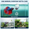 1 Set Clear Betta Training Mirror Fish for Tank Fish Antidepressant Work Out Special for Betta Fitness Mirror Aquarium D