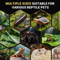 Jumping Spider Enclosure - Acrylic Terrarium Habitat for Spiders, Tarantulas, Snail, Mantis, Lizard, and Small Reptiles,