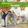 Portable Parrot Travel Cage Carrier with Small Swing Toy&Cage Colorful Toys Set Small Bird Parakeet Bag with Standing Pe