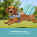 Didog No Pull Dog Harness for Small Dogs, Soft Flannel Padded,Mixed-Blue,XS