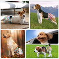 Dog Diapers Female 5pcs,Reusable Dog Doggie Puppy Doggy Diapers Female, Period Panties in Heat, Owl, Large