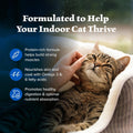 Blue Buffalo Wilderness Natural Adult Dry Cat Food Indoor Cats, High-Protein & Grain-Free, Chicken, 5-lb. Bag