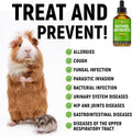Herbal Pet Antibiotics for Rabbits, Reptiles, Turtles, Guinea Pigs, Fish – Chicken Antibiotics in Liquid for All Birds (Duck, Turkey, Goose) – For UTIs, Allergies, Runny Nose & Digestion – 2-oz Bottle