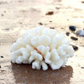 Besimple Pack of 2 Artificial Coral Ornament, Aquarium Resin Coral Decor Underwater Sea Plants Fish Tank Decoration Aqua
