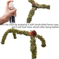 Hermit Crab Accessories – 5PCS Natural Hermit Crab Toys Climbing Bridge, Shells, Coconut Hideout, Moss and Plants for He