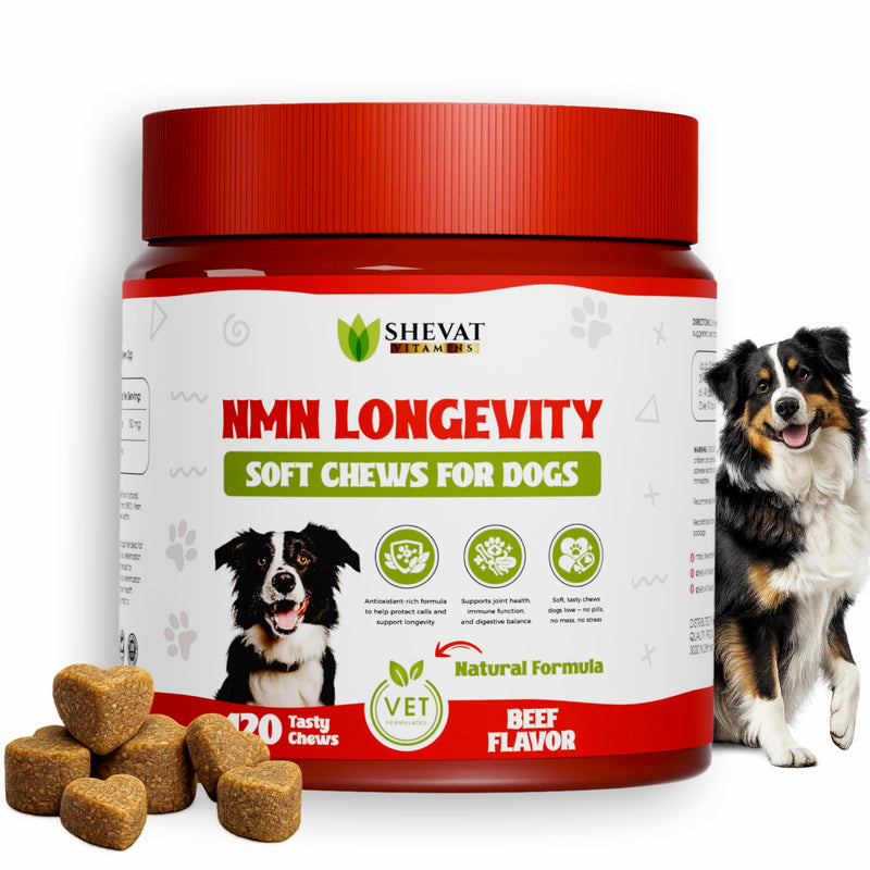 NMN Longevity Soft Chews for Dogs – Beef Flavored – Antioxidant Support for Joint Health, Immune Function, and Cellular Protection – 120 Count