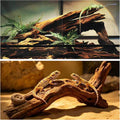 Hamiledyi Bearded Dragon Driftwood for Reptile, 10in Snake Climbing Branch