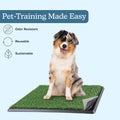 Artificial Grass Puppy Pee Pad for Dogs and Small Pets - 20x25 Reusable 4-Layer Training Potty Pad with Tray - Dog House