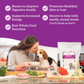 Dr. Harvey's Paradigm Green Superfood Base Mix for Dogs (6 lb)