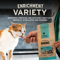 Vital Essentials Freeze Dried Minnows Cat Treats | Single Ingredient | Premium Quality | Grain Free, Healthy Treats for Cats, 0.5 oz Bag