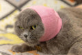 Cat Ear Protector No Scratch Wound Care Pink S